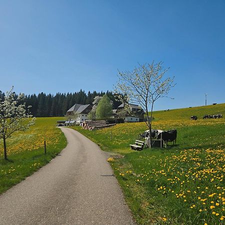 Lorenzenhaeusle Titisee-Neustadt Exterior photo