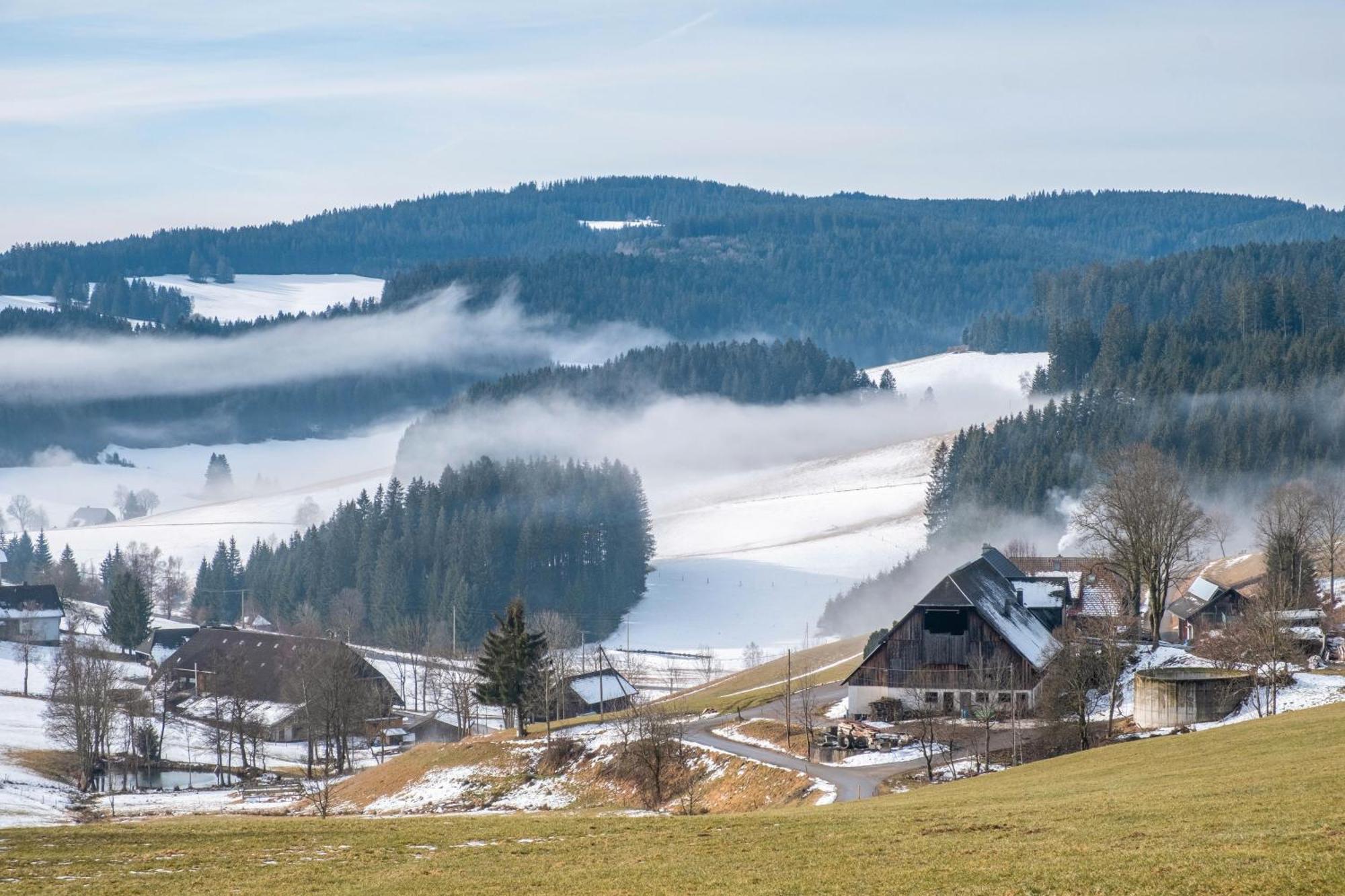 Lorenzenhaeusle Titisee-Neustadt Exterior photo