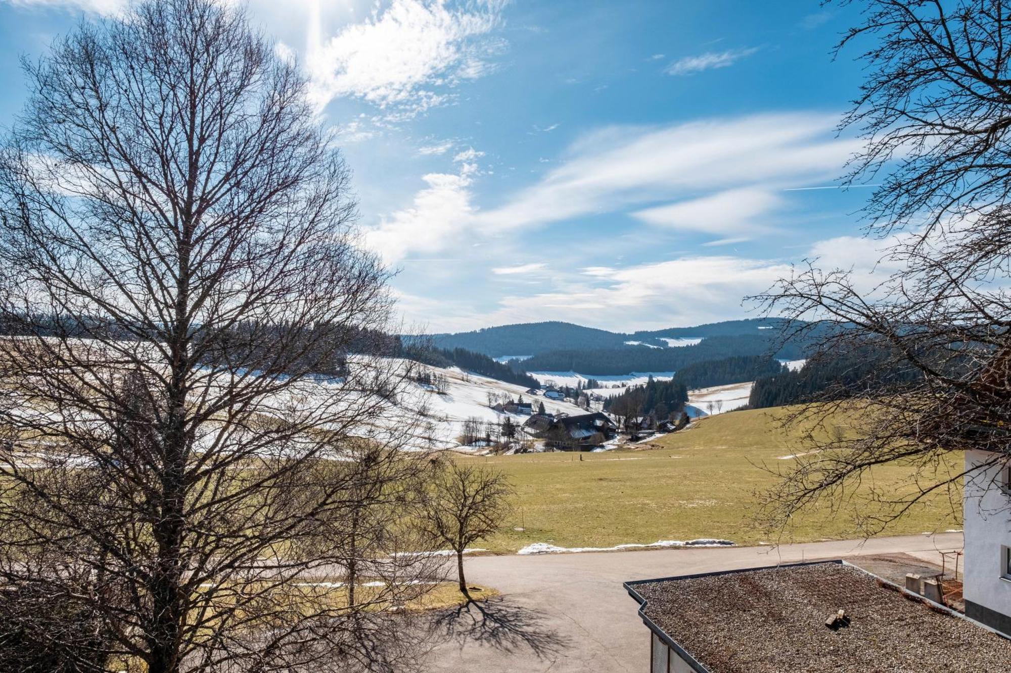 Lorenzenhaeusle Titisee-Neustadt Exterior photo